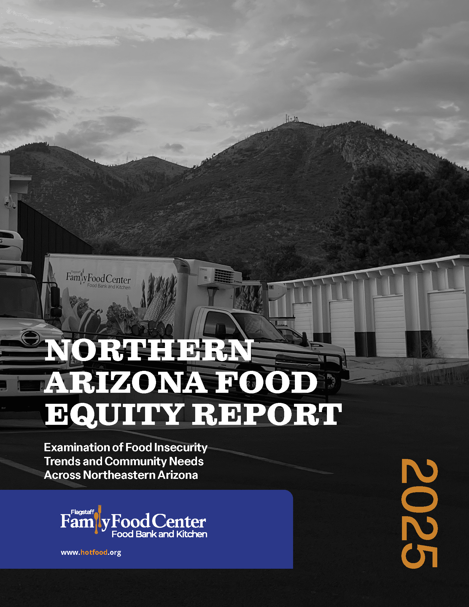 preview of FFFC 2025 Food Equity Report